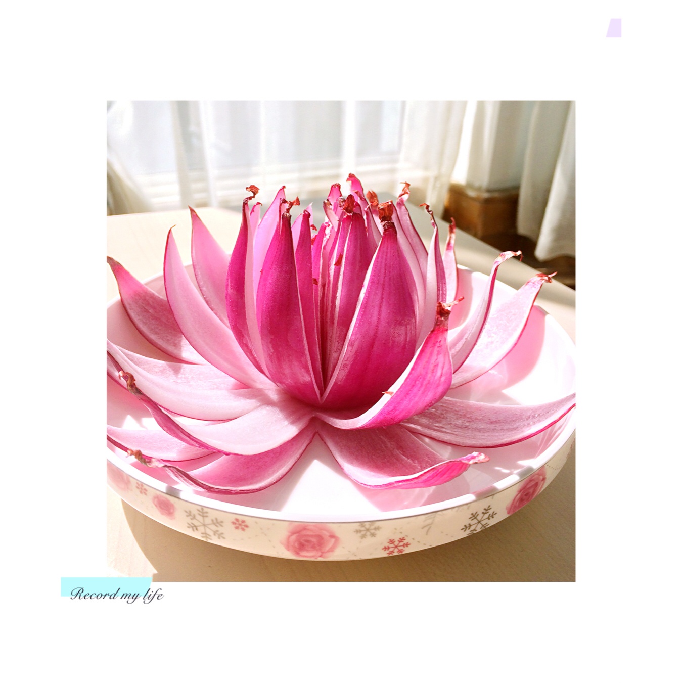 洋葱花