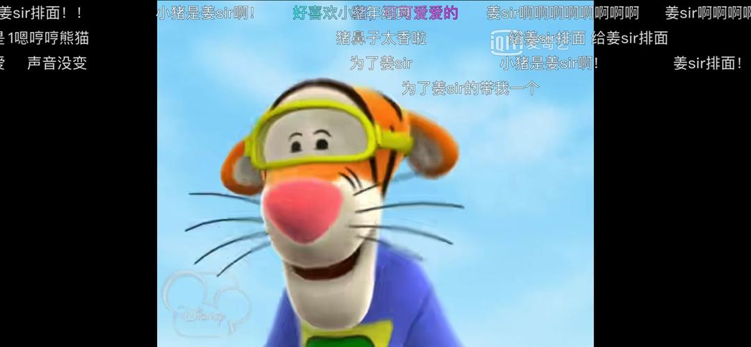 红烧鸡翅尖