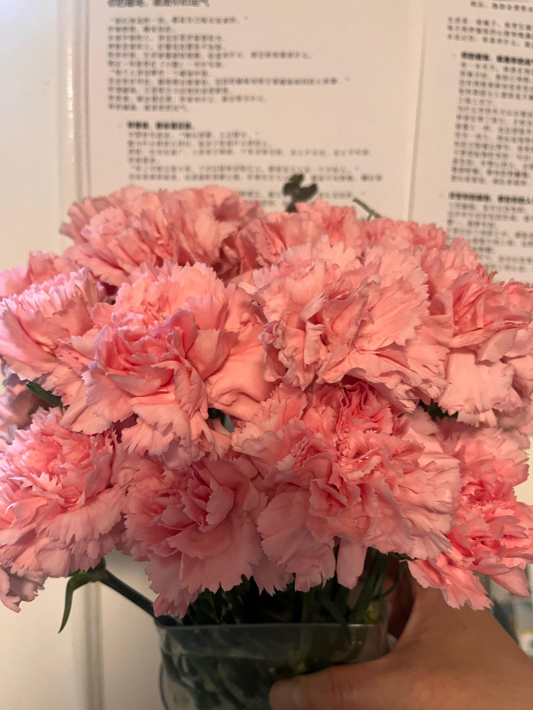 陪伴桃子