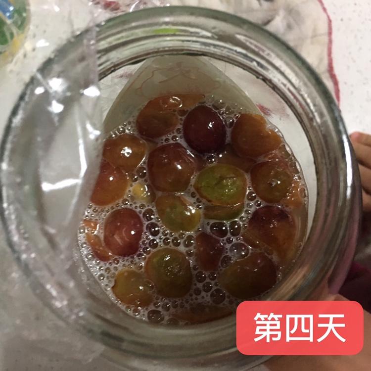 葡萄酵母养成的做法 步骤7