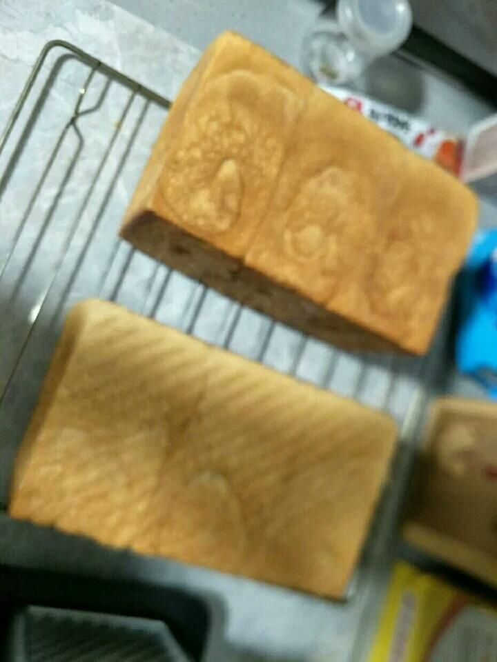 原味吐司（三能450g金色SN2054两个）