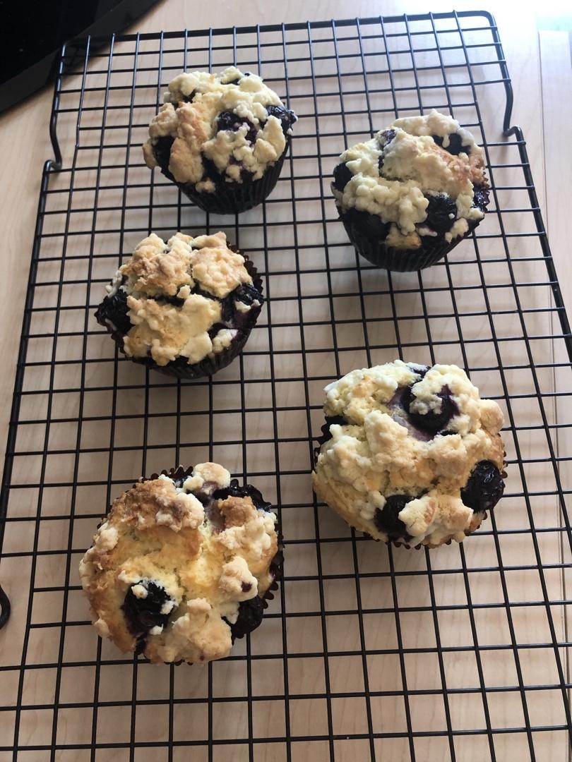 蘑菇头蓝莓麦芬
