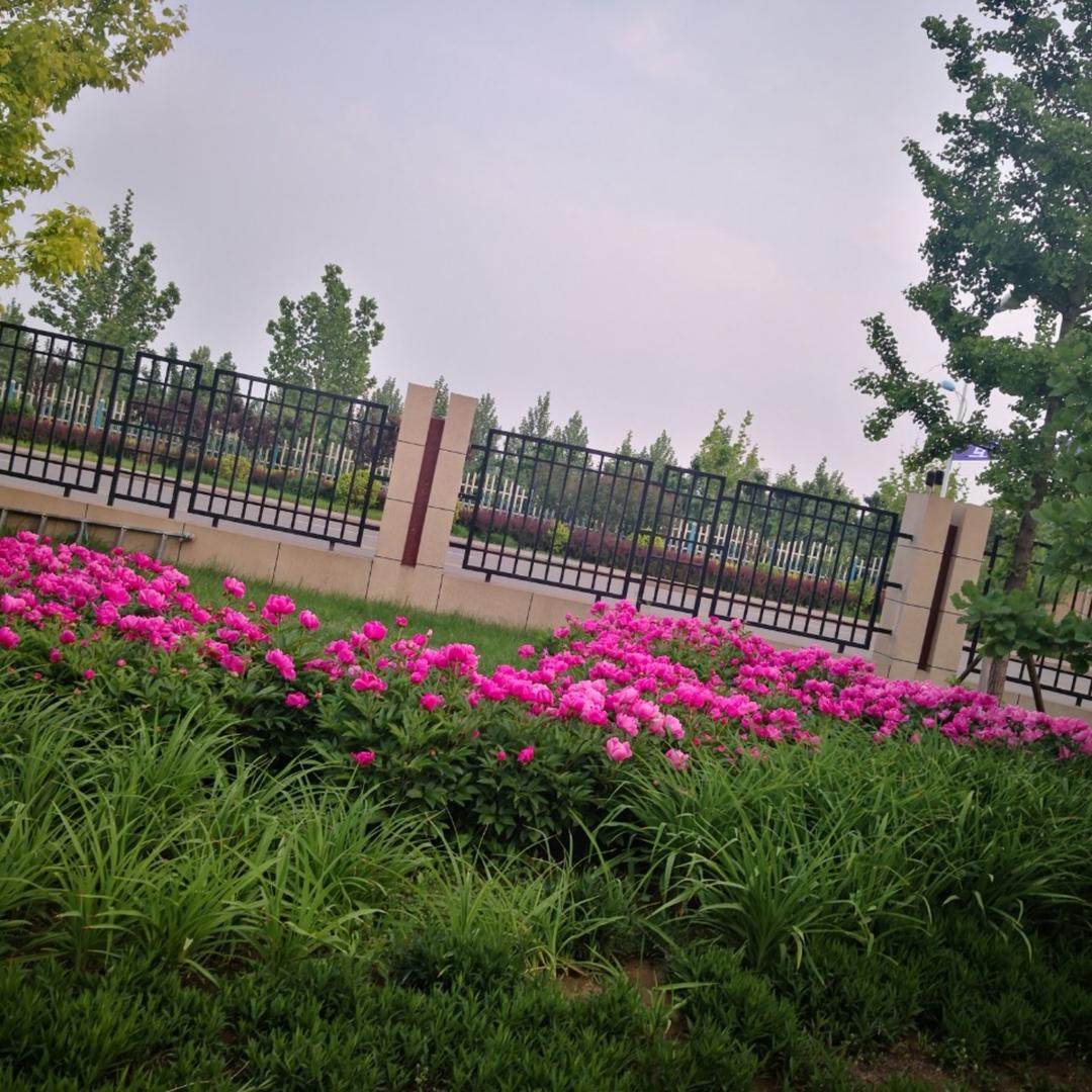 晶晶然123