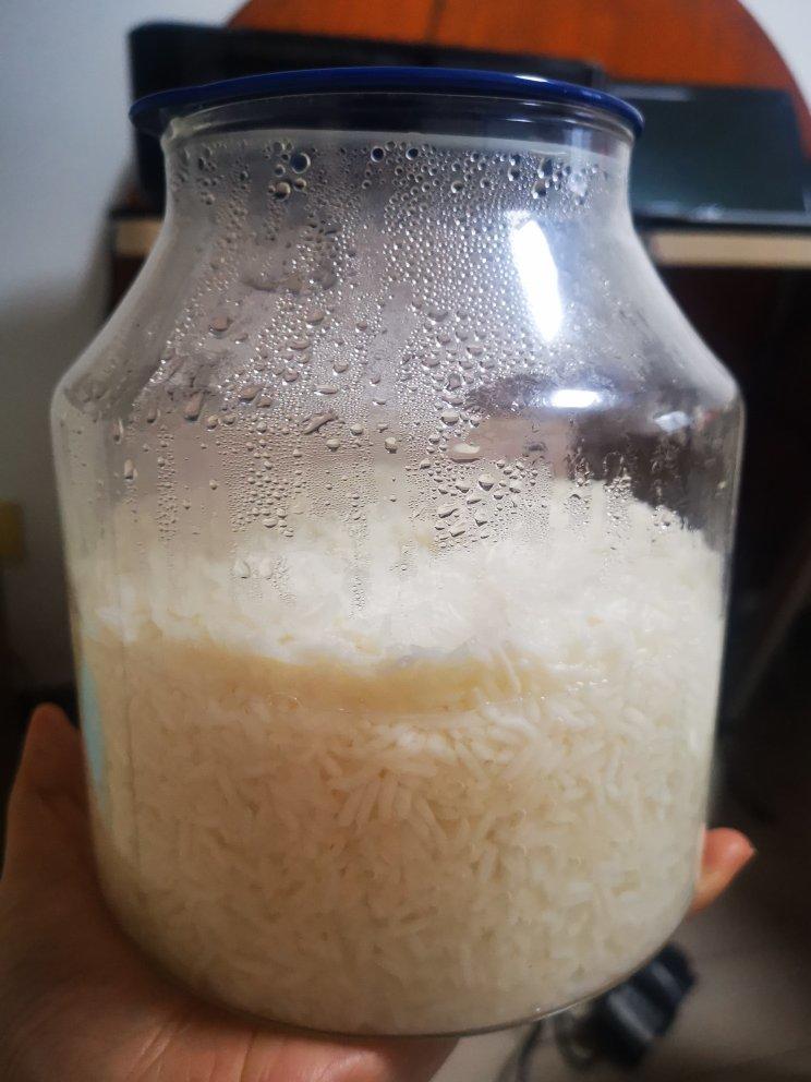 甜酒酿（安琪酒曲够甜）