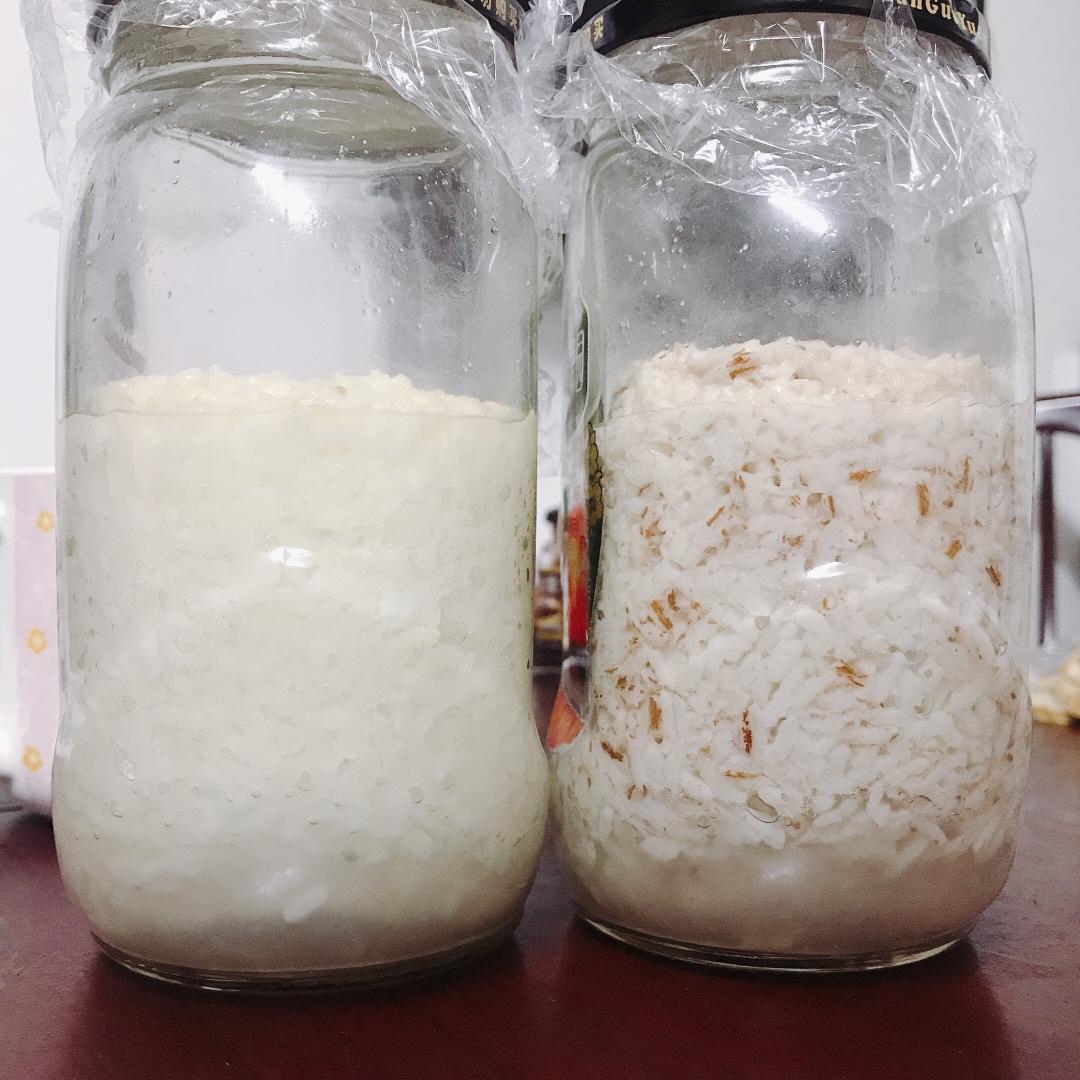 6分钟自制米酒【省事米酒最简易的打开方式】ヽ(•̀ω•́ )ゝ自制酒糟.醪糟.酒酿