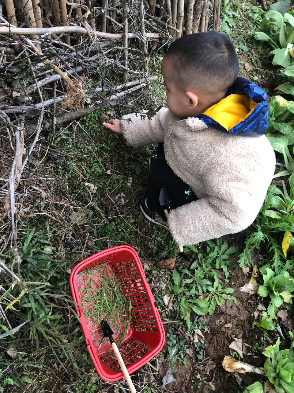 （电饭锅发酵版）超软发面红糖饼