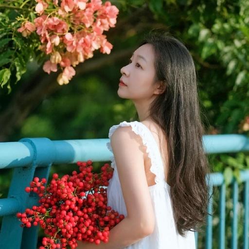 淡若如初2023
