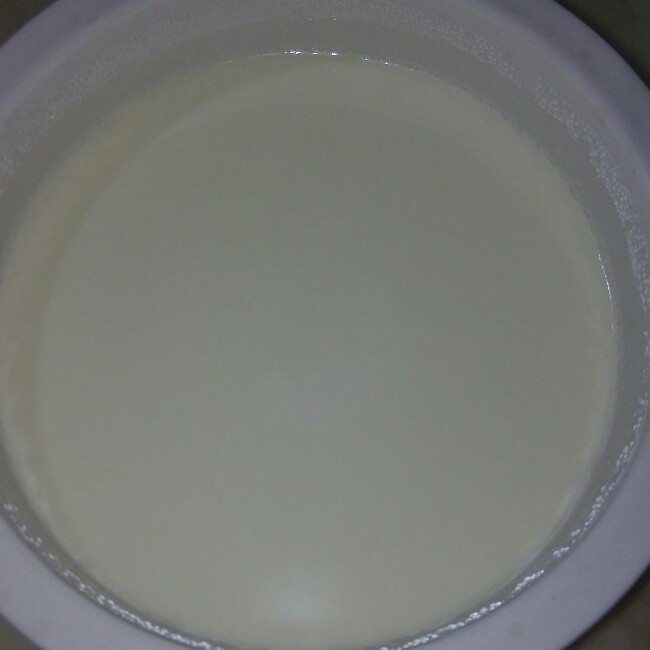 小熊酸奶机自制酸奶