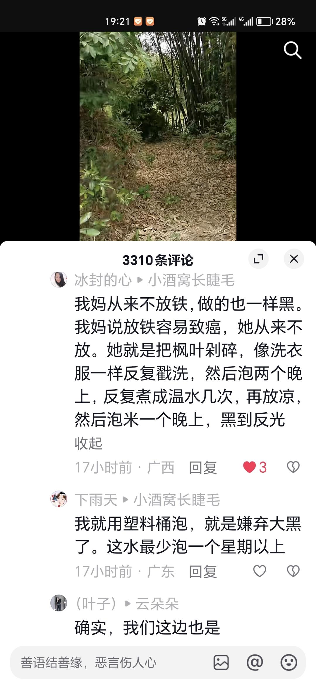 广西三月三枫叶🍁黑糯米饭