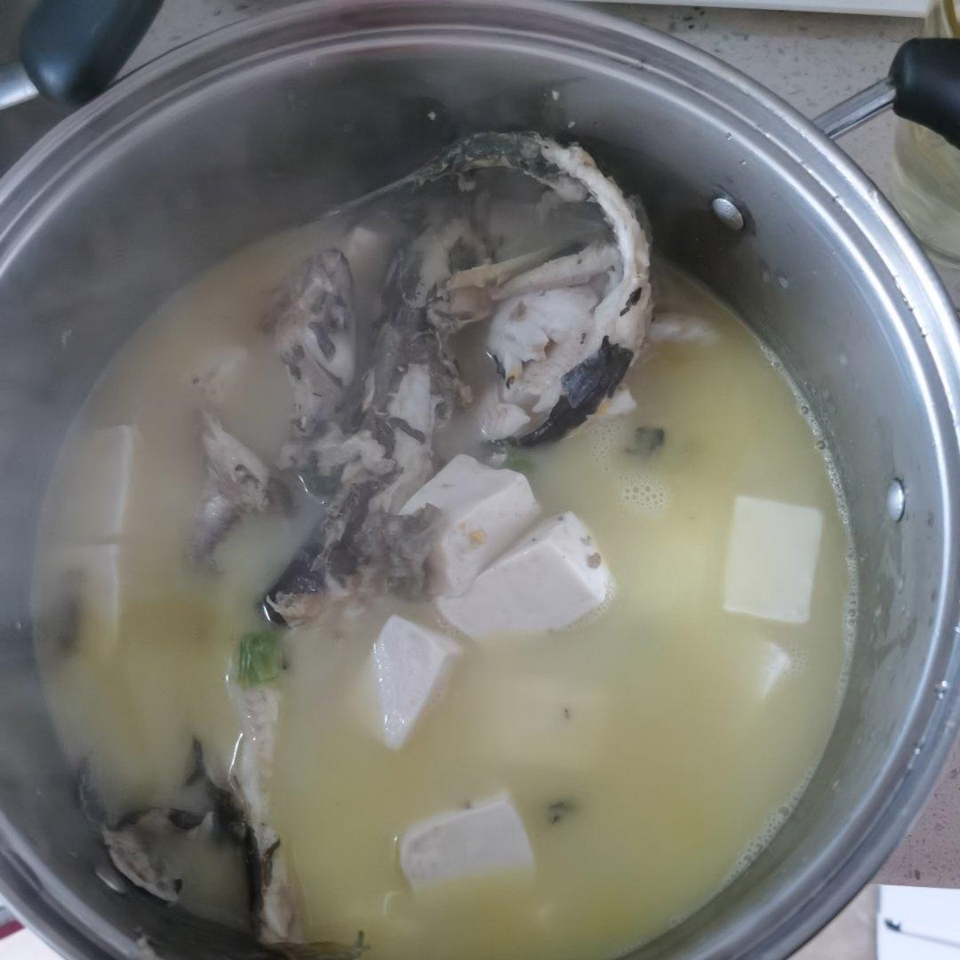 昂刺鱼豆腐汤（黄辣丁）