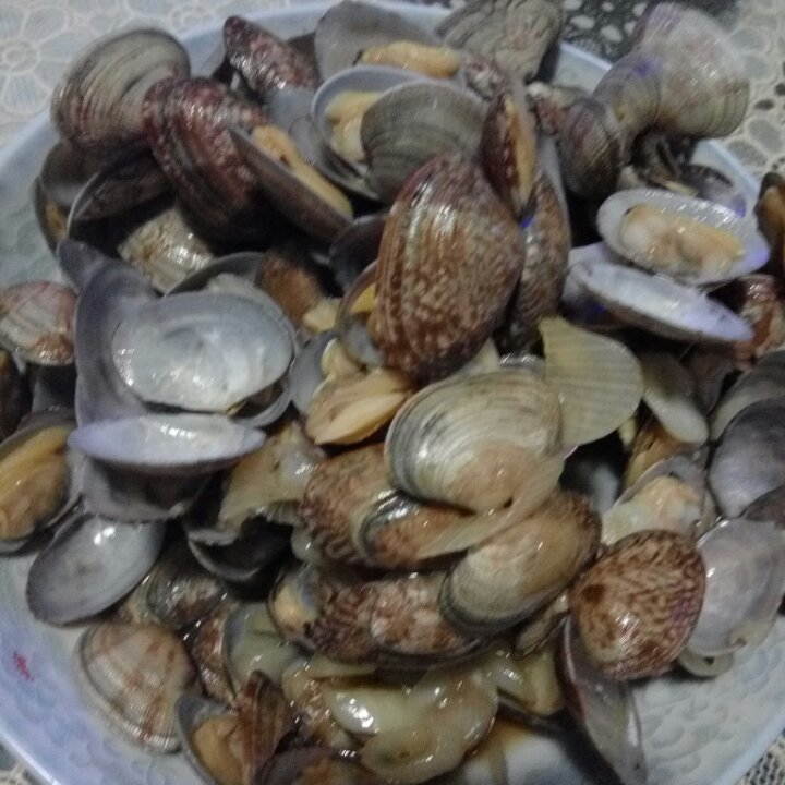 葱炒花蛤