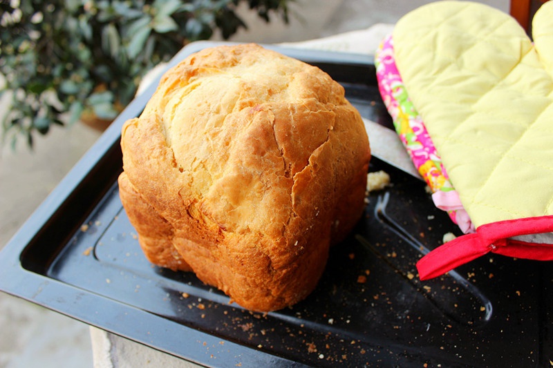 东菱面包机 面包