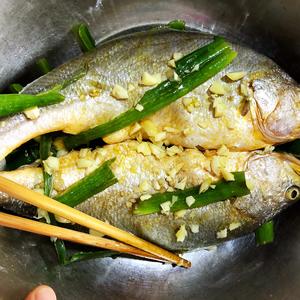 葱香煎大黄花鱼的做法 步骤1