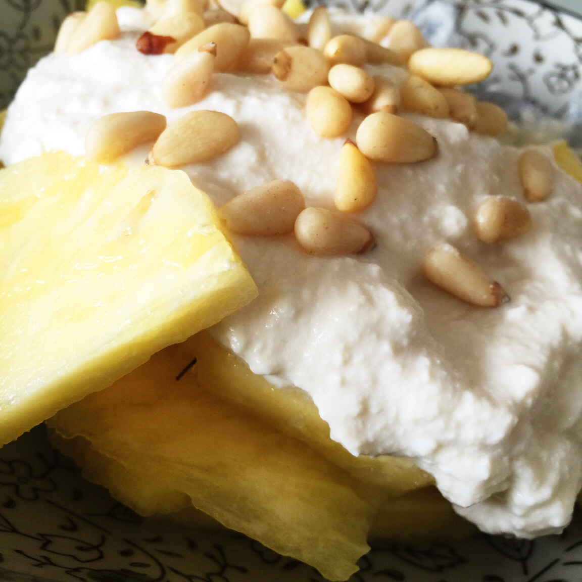 【奶类食验】希腊酸奶 Vegan Greek Yogurt 大地赐予的美味