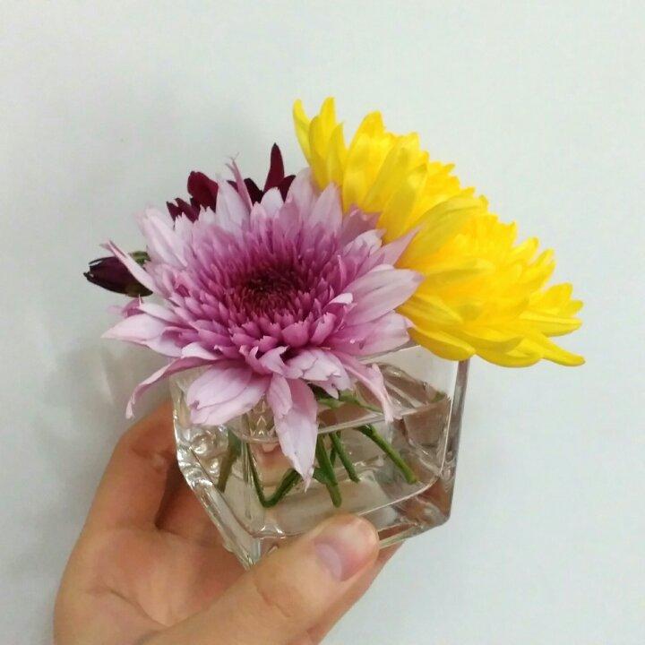 小莹吃吃吃
