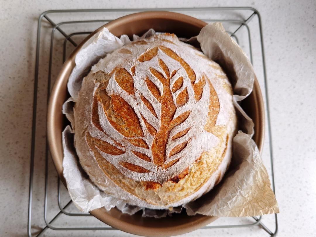 新手披萨饼皮pizza(能开餐厅那种)