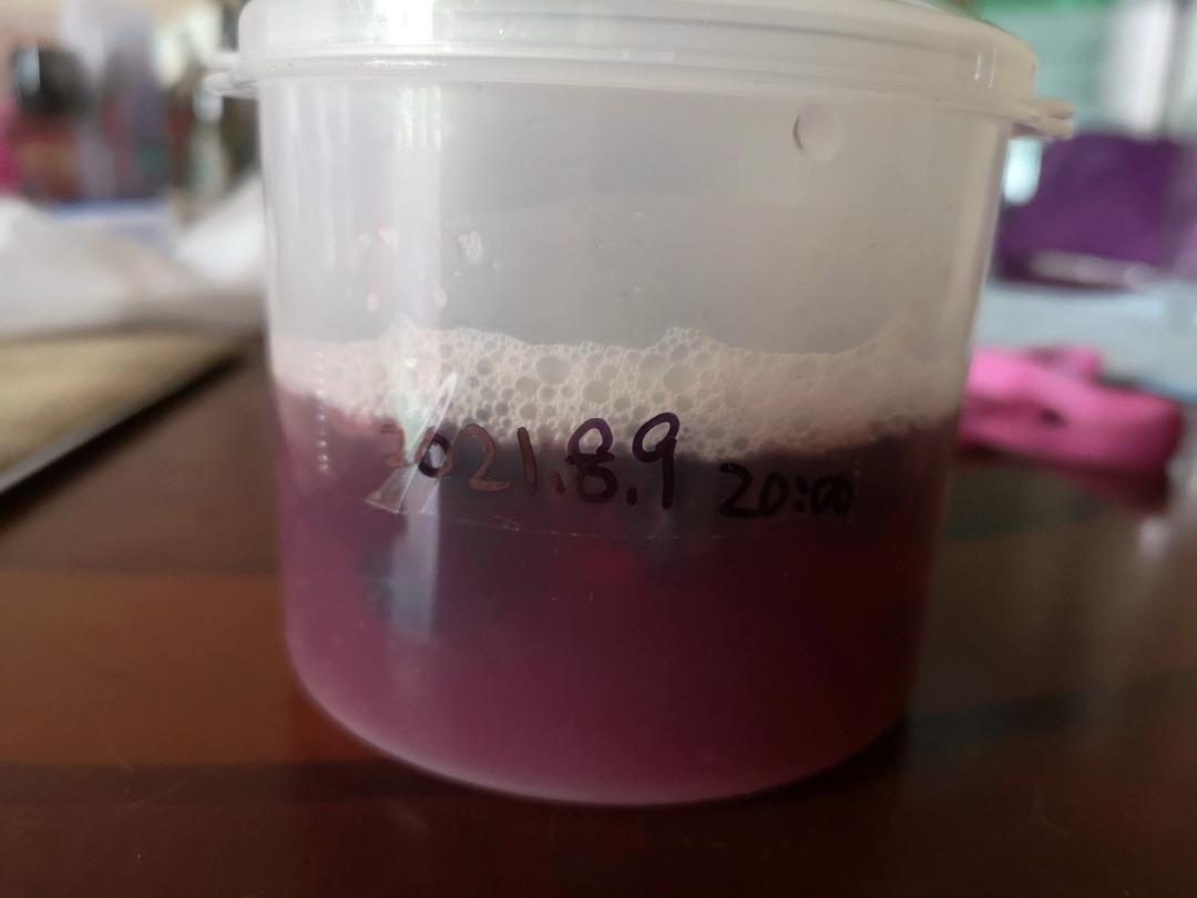 葡萄天然酵母成长记