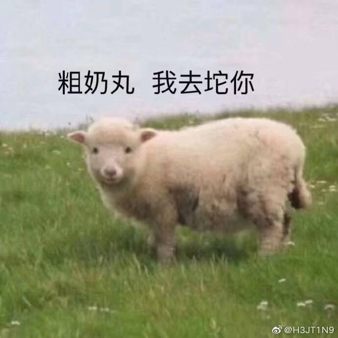 傻瓜步骤的卤肉饭的做法 步骤7