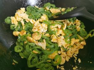 蛇瓜洋葱炒鸡蛋的做法 步骤10