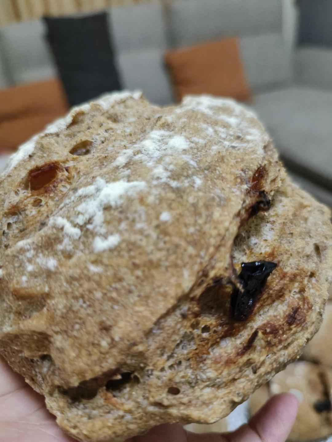 简易版脆皮欧包（不揉面）