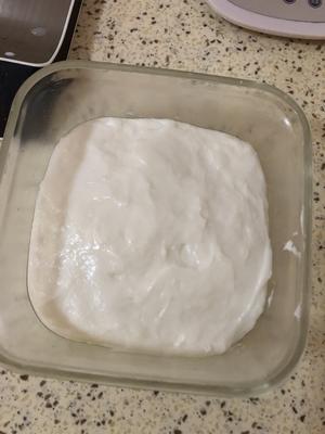 无吉利丁片版椰奶冻  无淡奶油版椰浆牛奶小方 椰浆奶块 美味椰香奶块的做法 步骤7