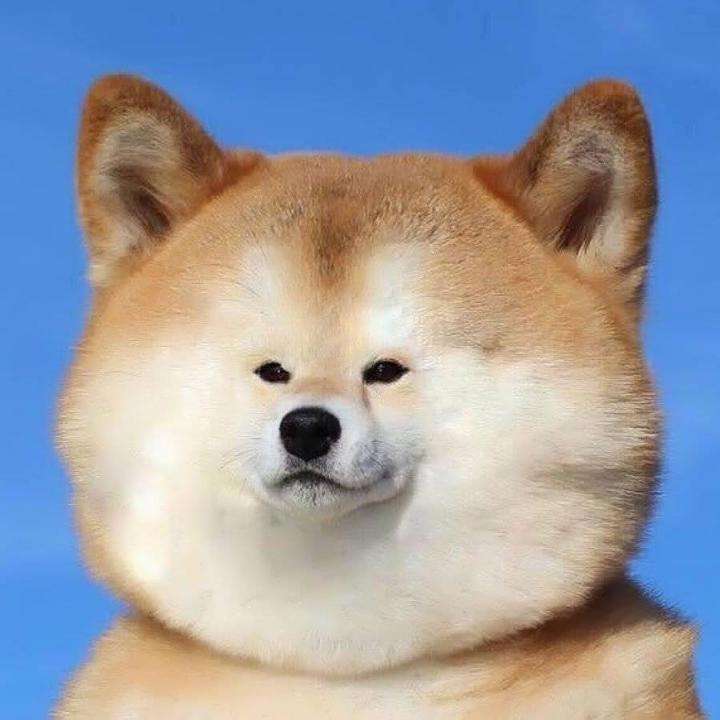 爱吃美食的觉觉