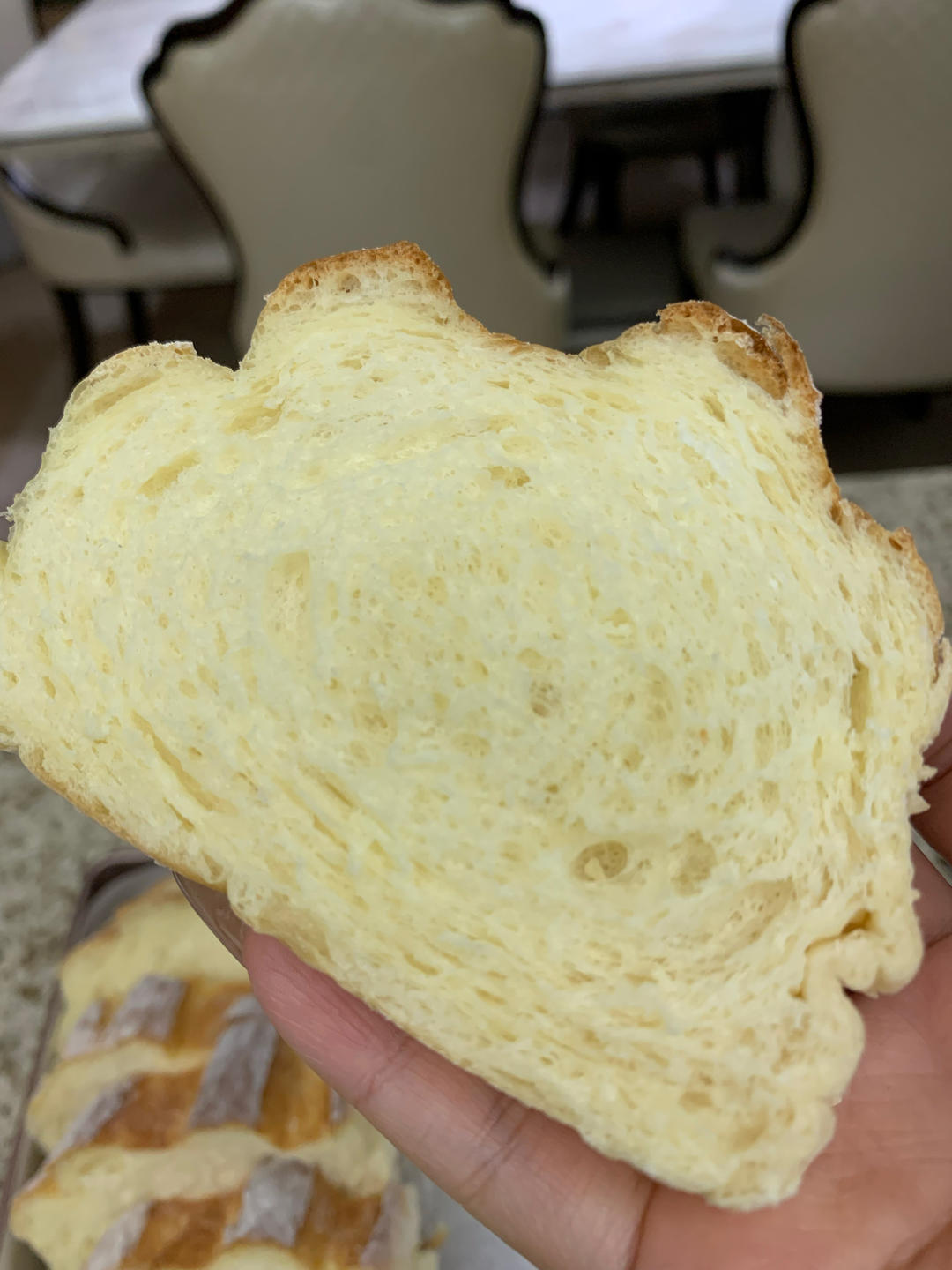 蛋奶哈斯