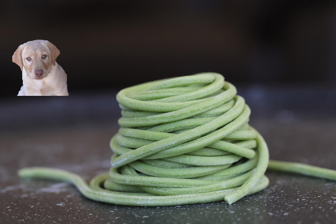 厨师机面条机合作完美面条