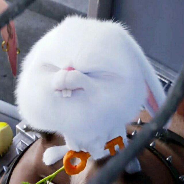 尼基塔love