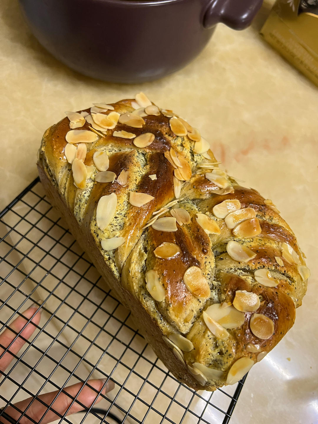 伯爵红茶奶酥吐司🍞茶香&奶香｜无人能抗拒