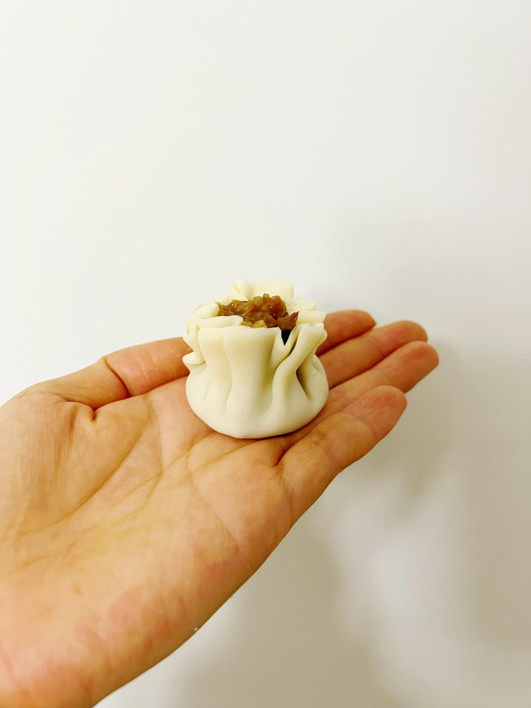饺子皮烧麦的做法