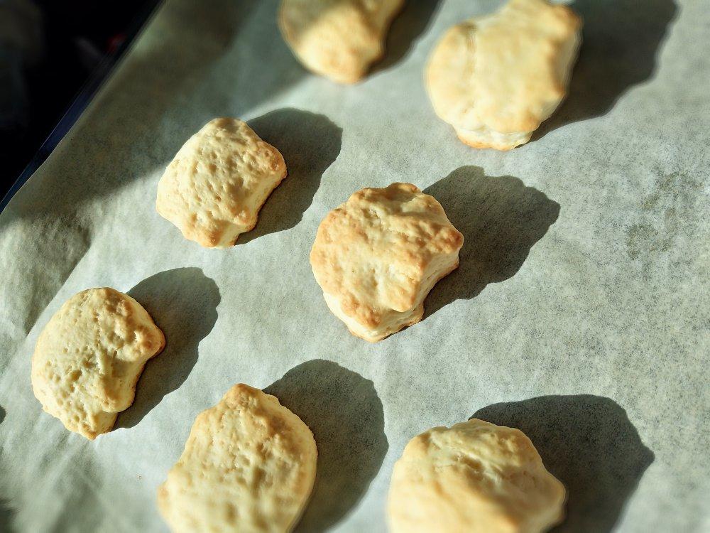 无蛋奶版蔓越莓司康