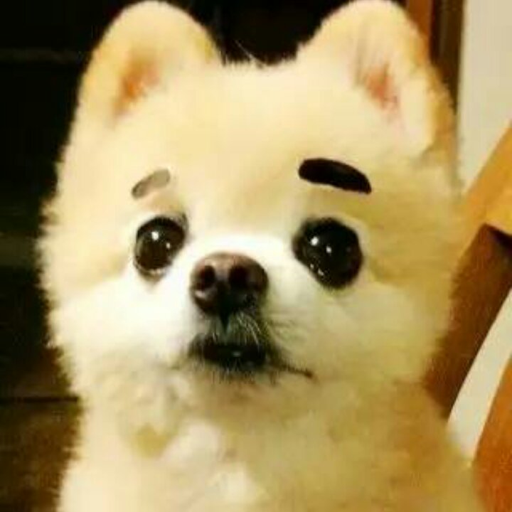 手机用户2013_k19v