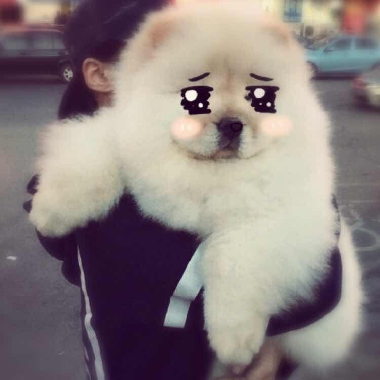 我有一只小小别