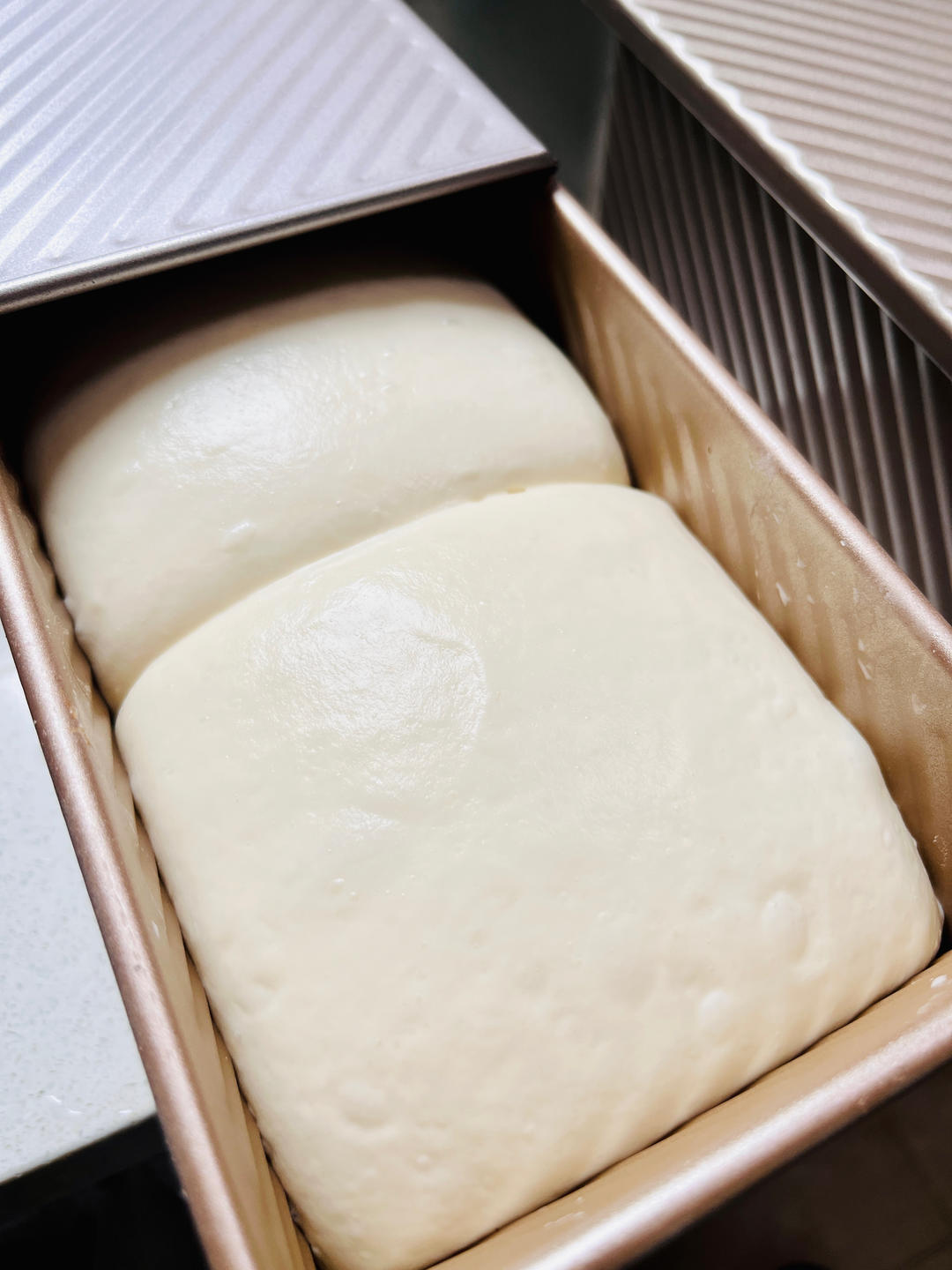 100%含水量豆腐生吐司