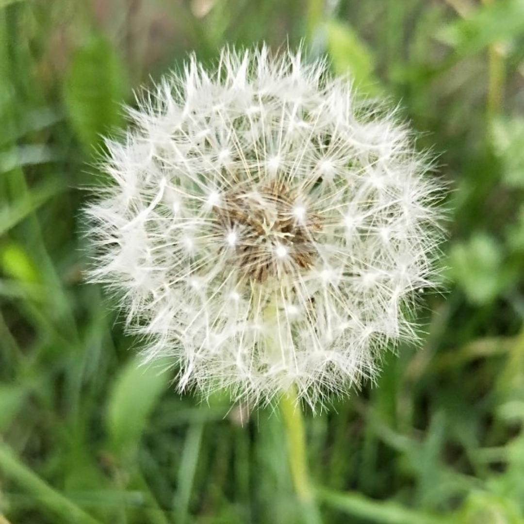 悦悦爱生活爱美食的厨房