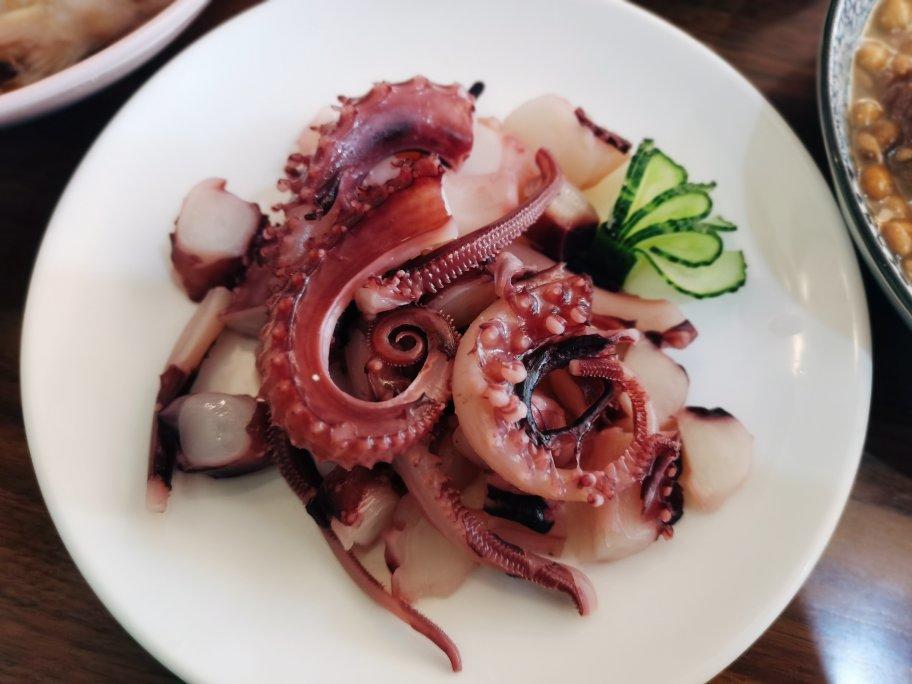 芥末鱿鱼的全部作品