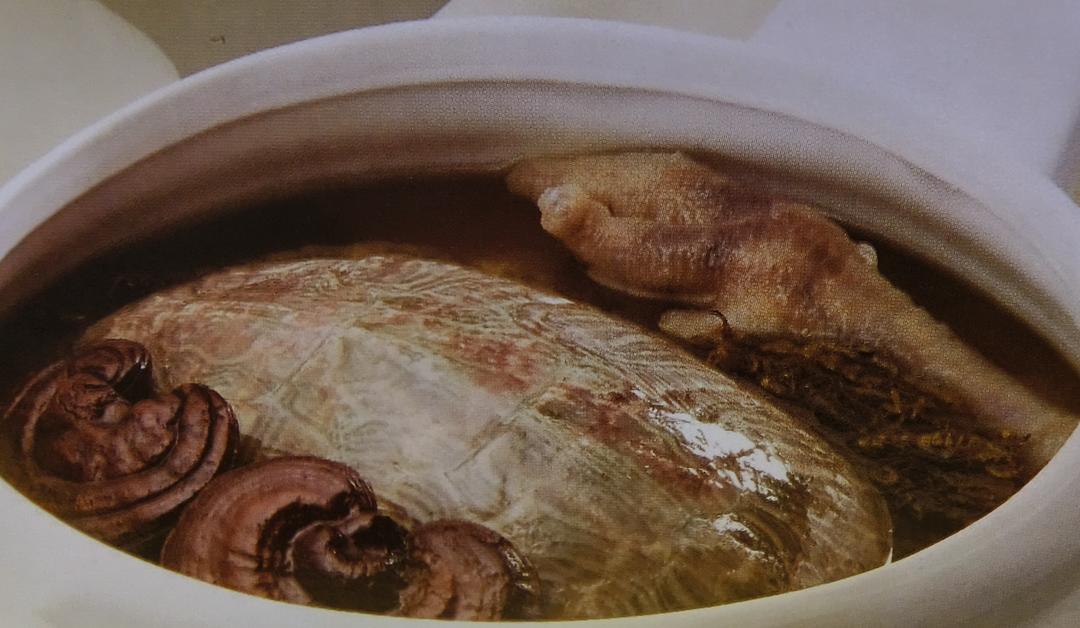 老人灵芝沙参煲草龟