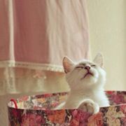 Grumpy-Xiao拒熬夜