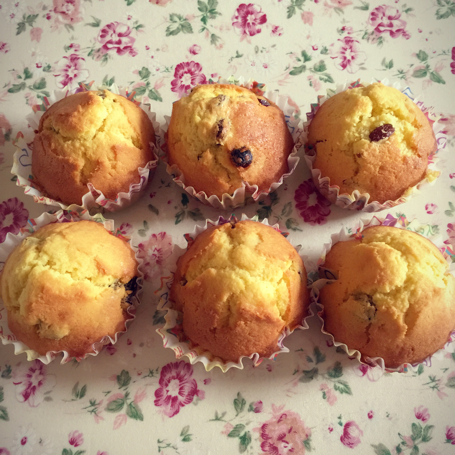 0失败的葡萄干麦芬