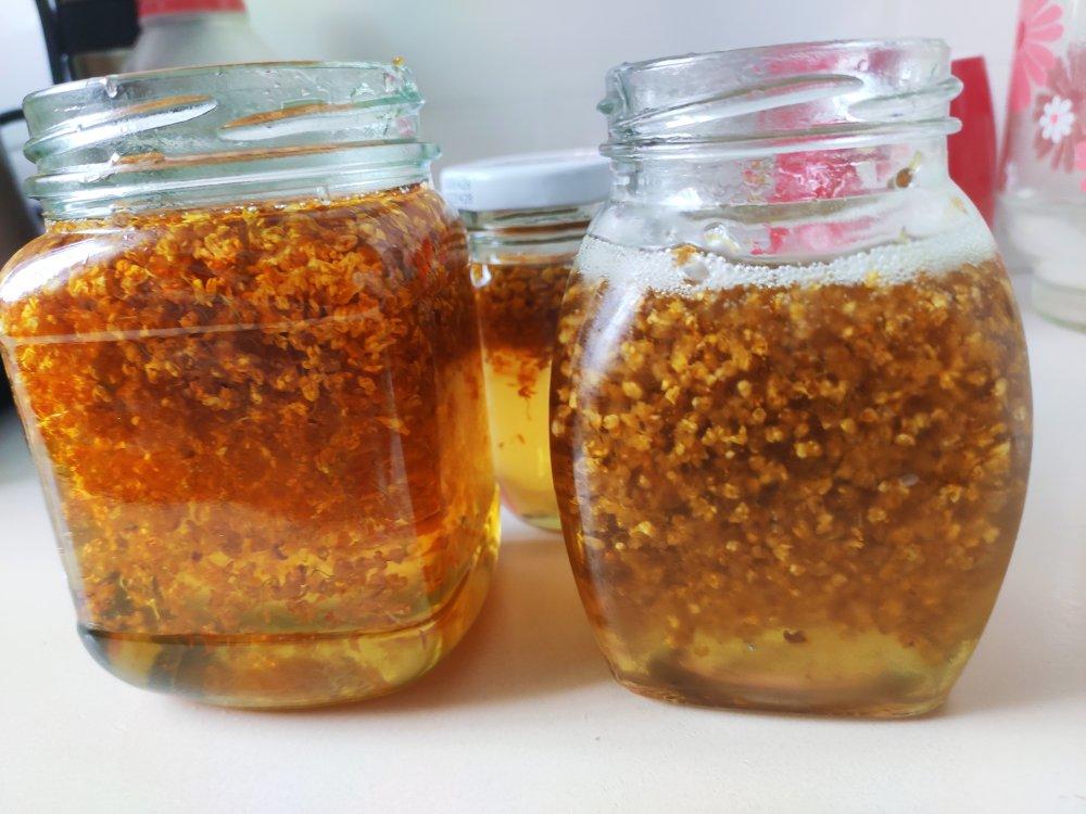 自制桂花蜜酱