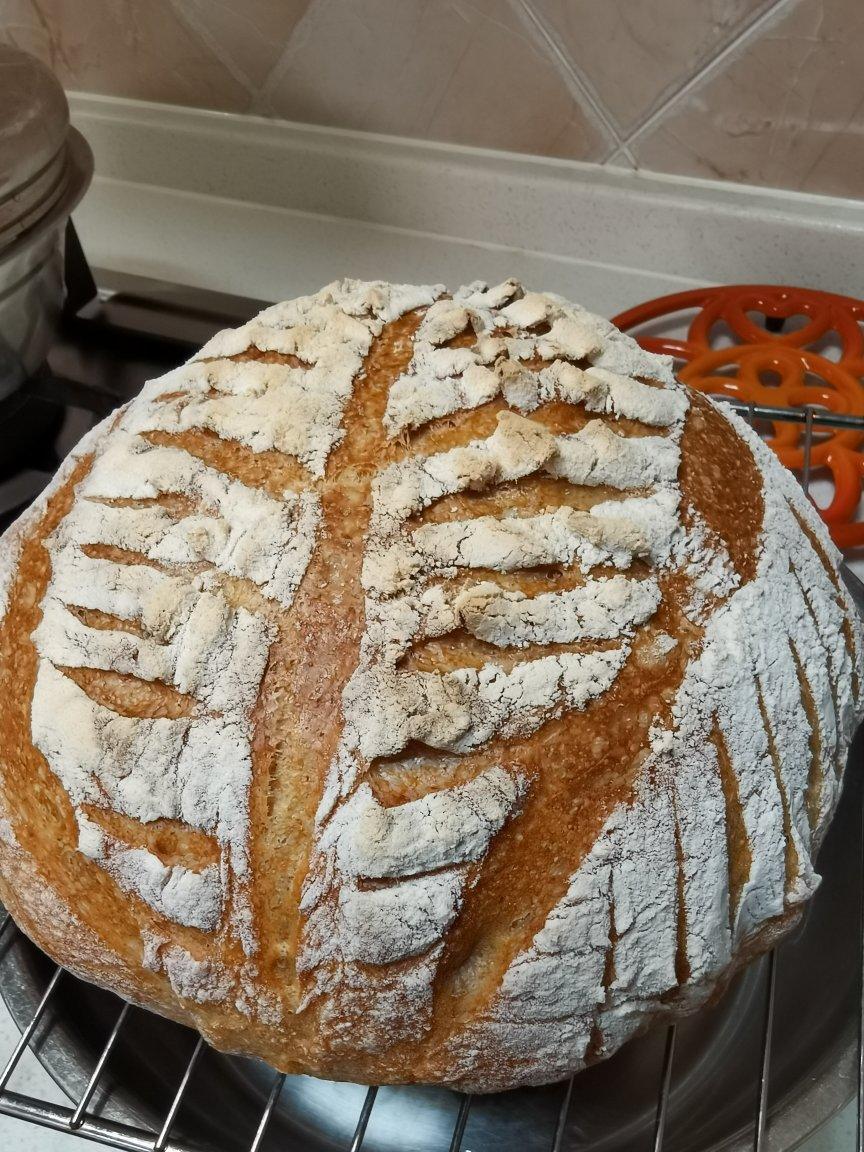不可能减肥的欧包🥖（超简单！免揉！无油无糖）