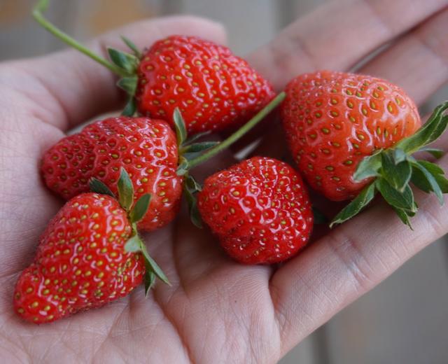 今冬第一颗草莓的做法
