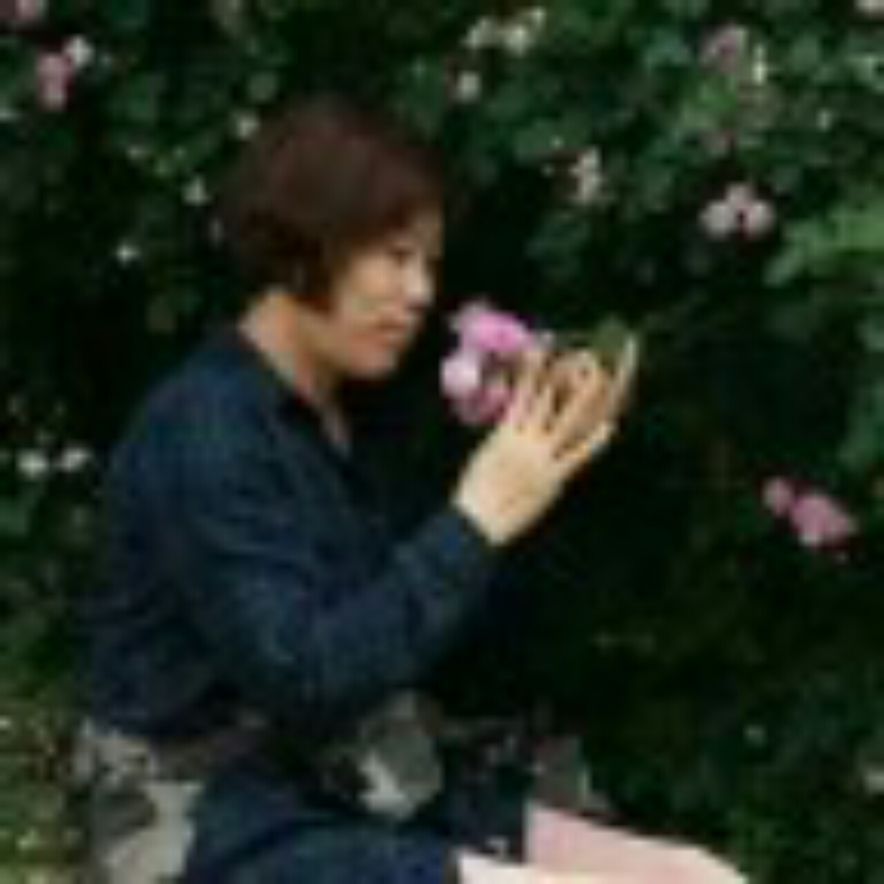 手机用户8713_tdb2