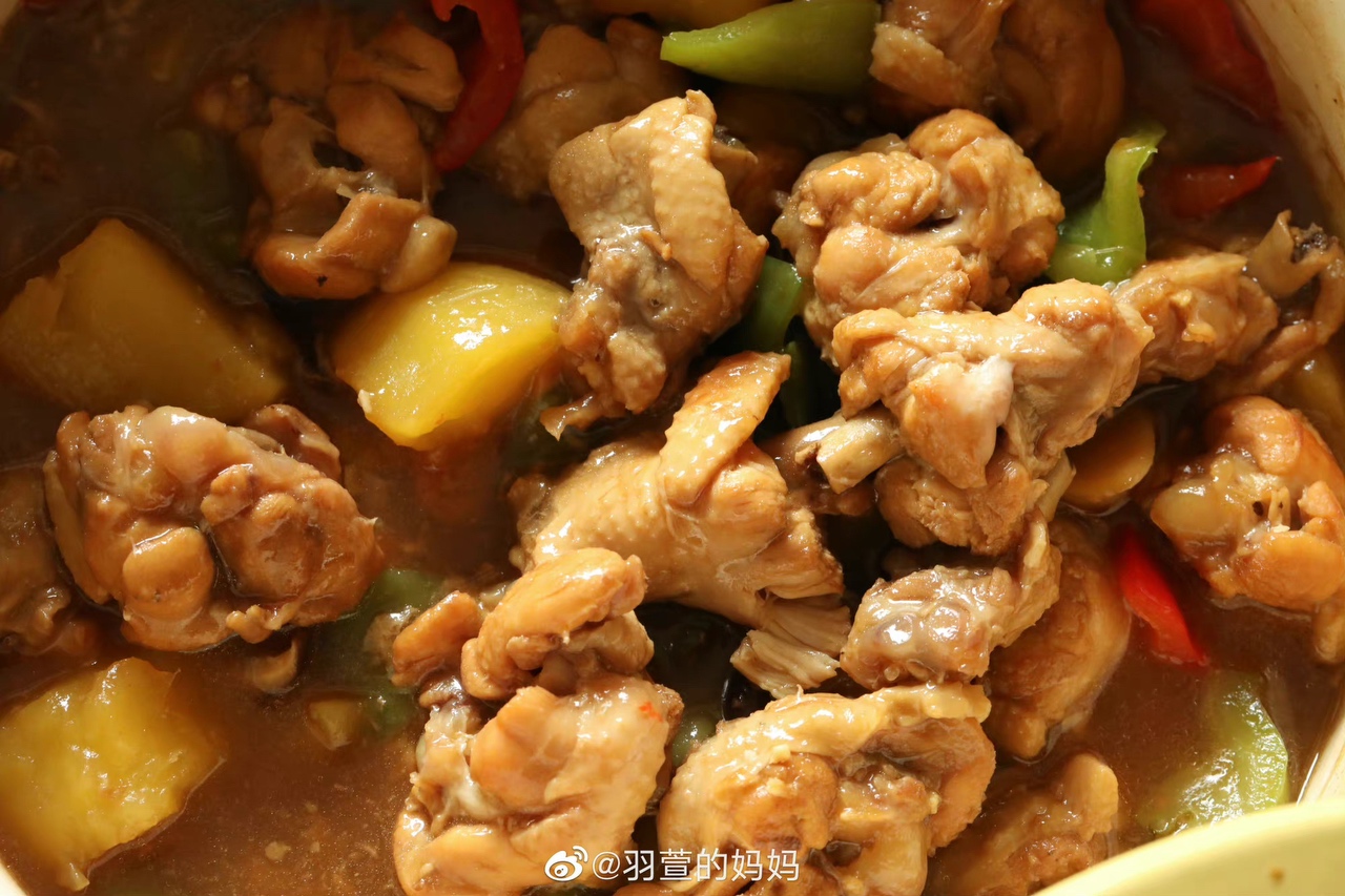 北鼎焖炖锅食谱｜黄焖鸡的做法 步骤19