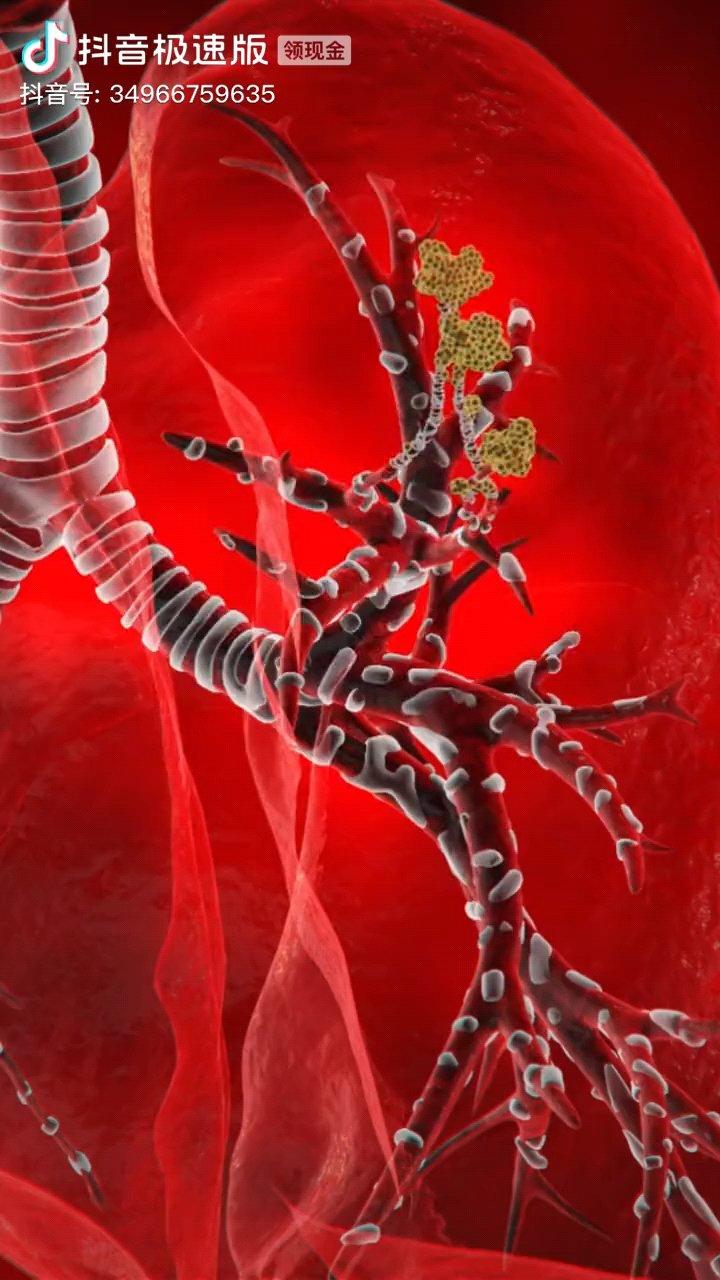 所以，其实川贝鳄鱼汤不一定非要有鳄鱼肉，任何高优质蛋白的食材都可以，鳄鱼肉好贵😂