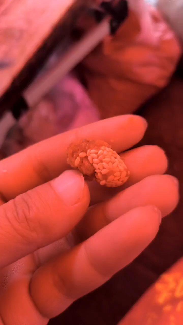 开口笑（零失败）