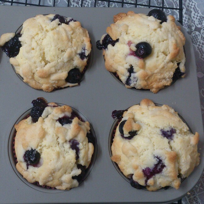 PH大师的金宝顶蓝莓马芬