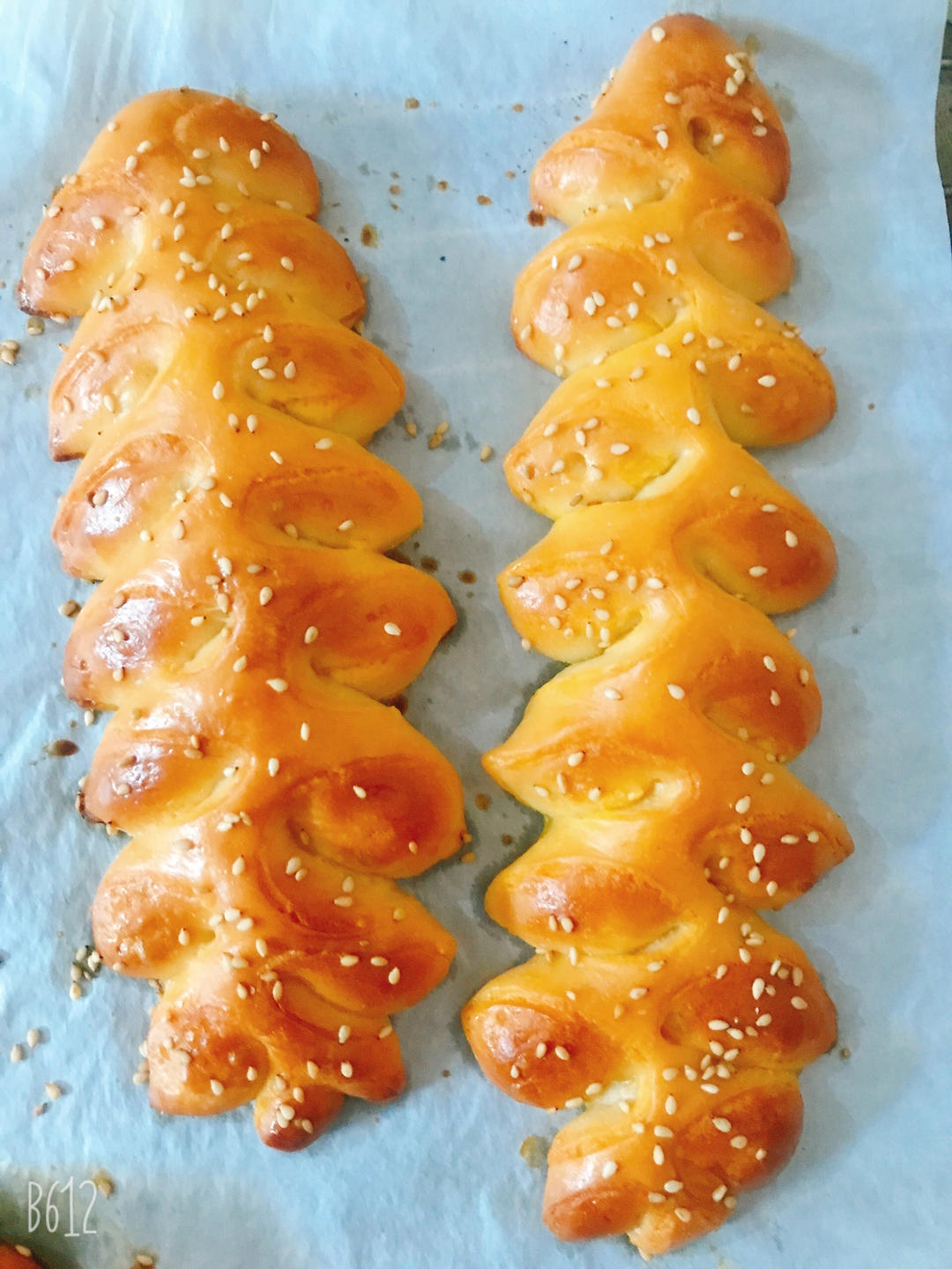 豆沙面包|包含5种整形方法|干货篇