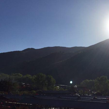 梦游爱丽丝的梦